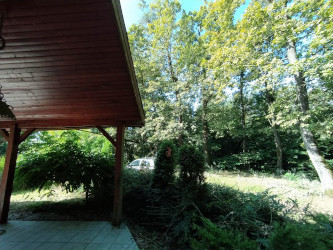 Weinberghaus Vordach